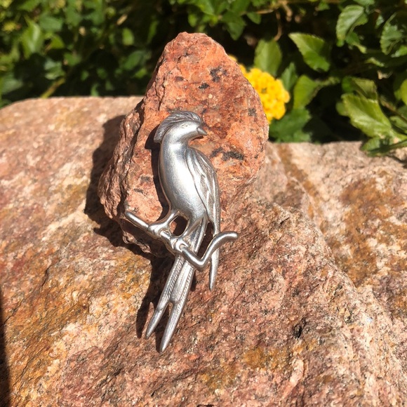 Jewelry - Sterling Parrot 🦜 Pin